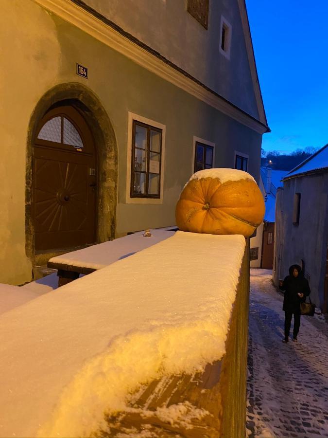 Cesky Krumlov Centrum Ap 6 외부 사진